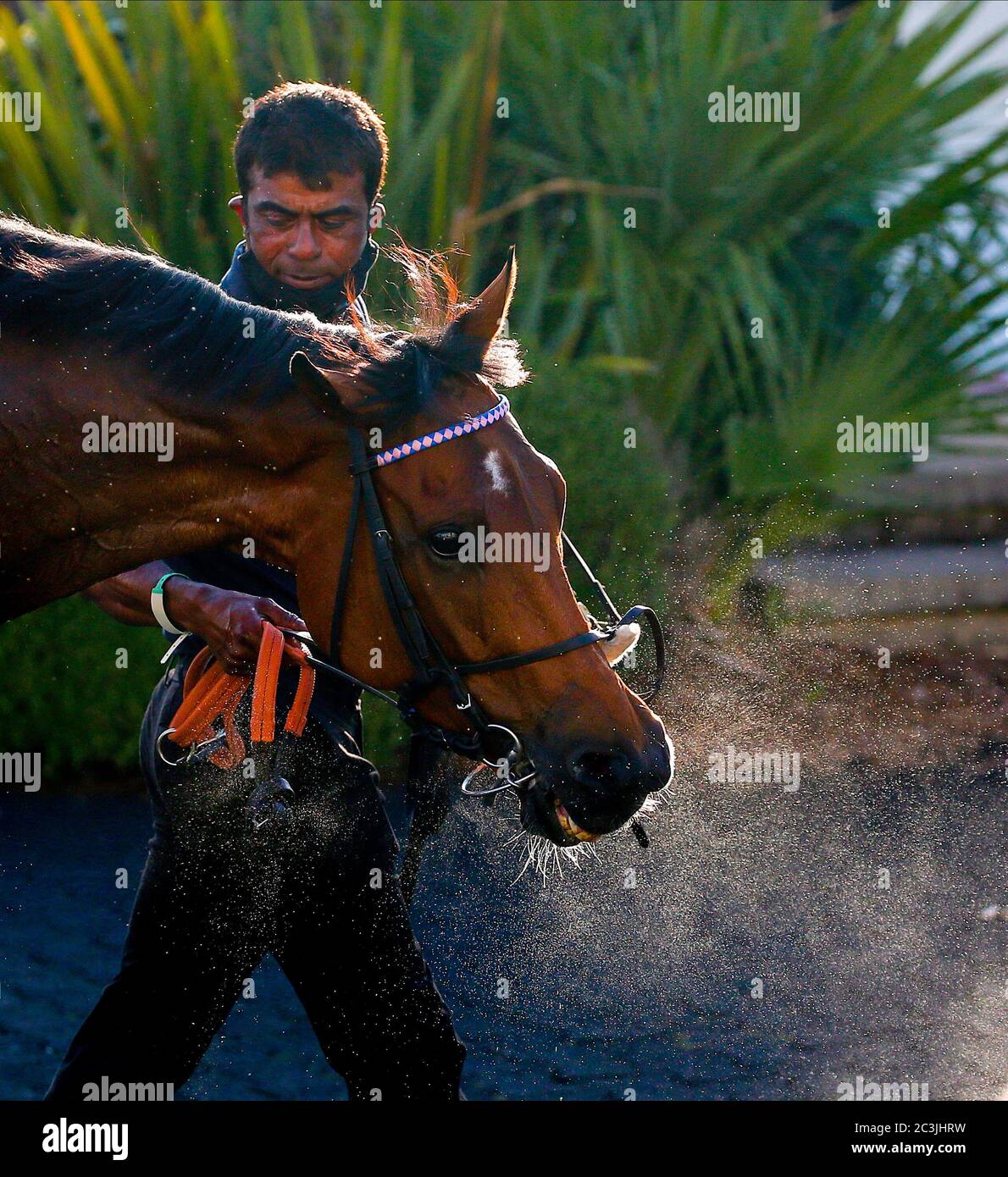 Unit of Assessment vincitore del Free Spin Festival handicap Unibet June Casino (Classe 4) presso l'ippodromo di Kempton Park. Foto Stock