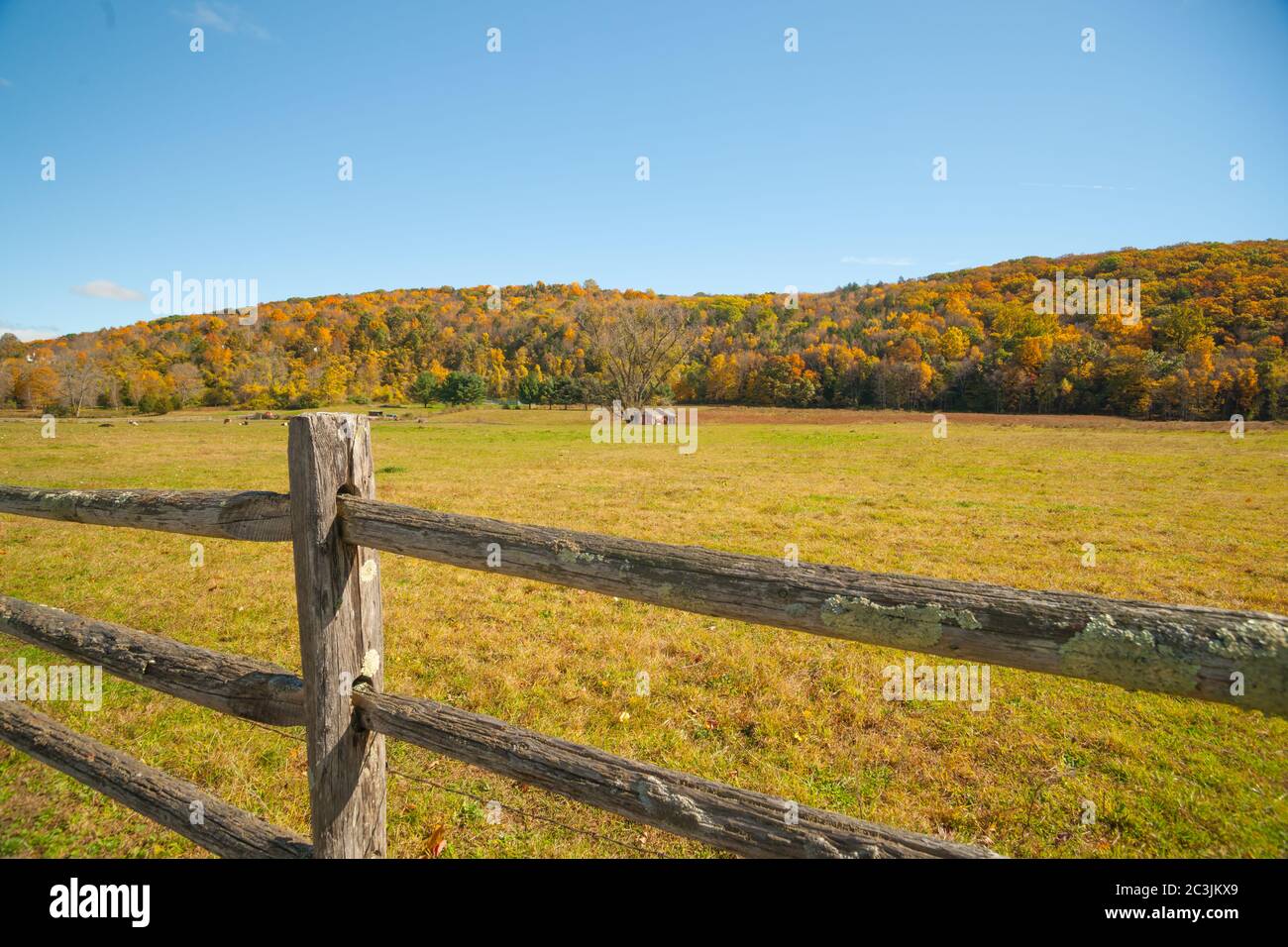 Da strada di campagna americana un paesaggio rurale con fattoria in distanza oltre posta rustica e recinzione ferroviaria nella contea di Kent, New England USA. Foto Stock