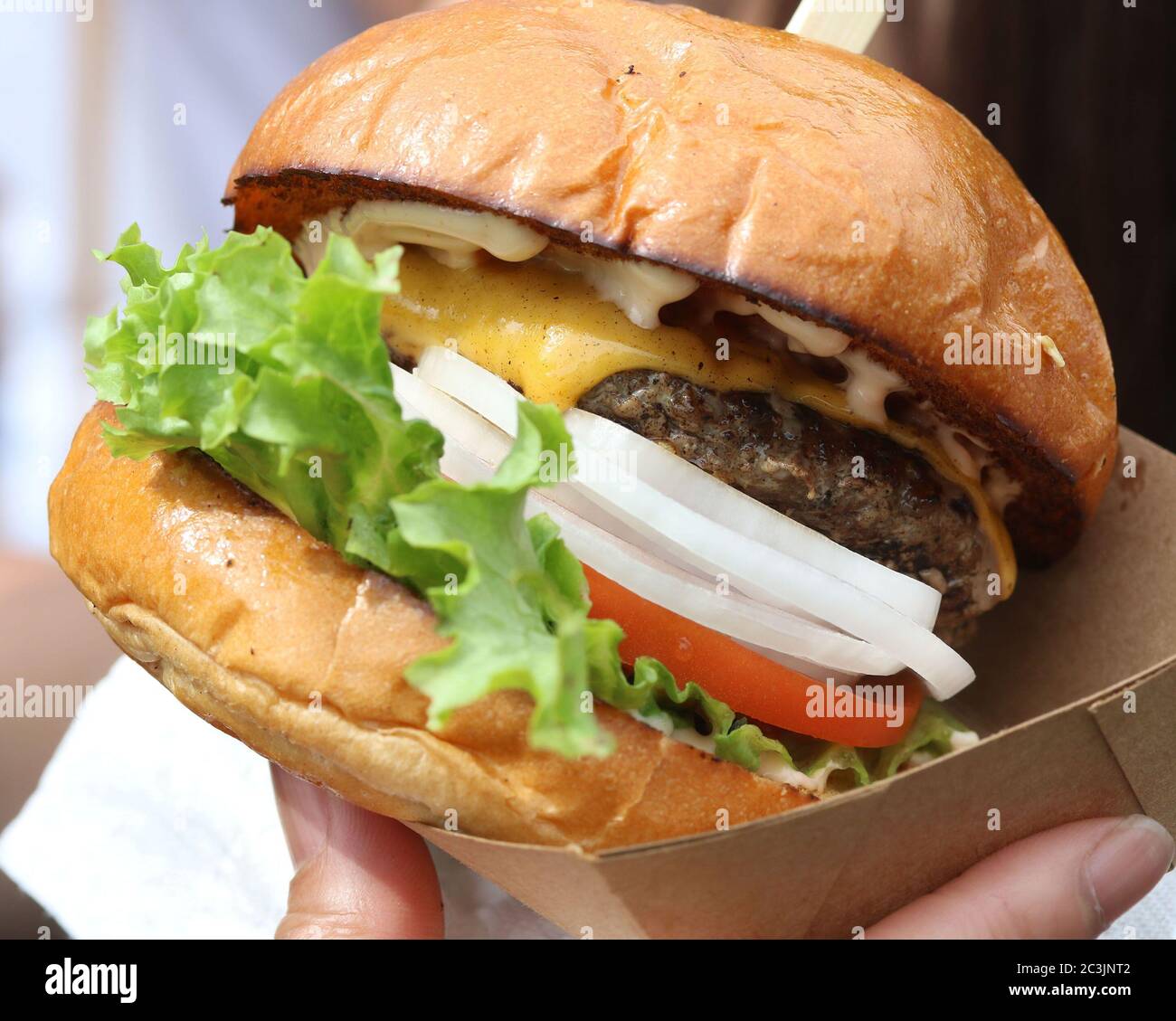 Succosa cheeseburger con lattuga, cipolla bianca, pomodoro su un panino in una scatola di cartone Foto Stock