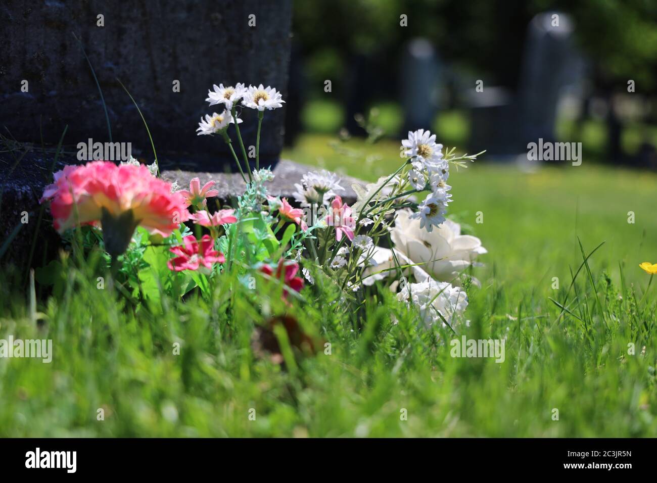 Cimitero Titanic Halifax Nova Scotia Canada. Foto Stock