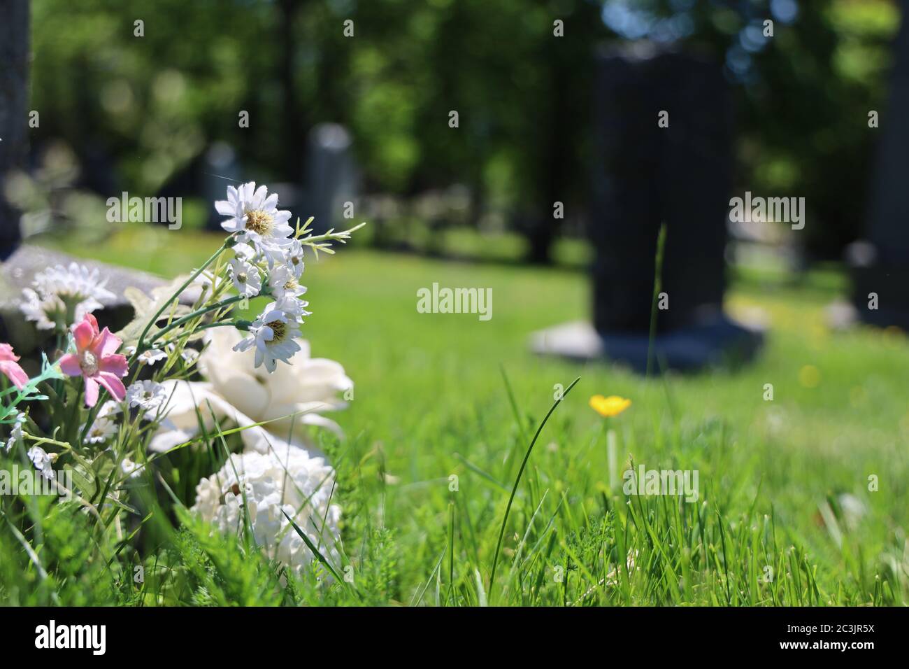 Cimitero Titanic Halifax Nova Scotia Canada. Foto Stock