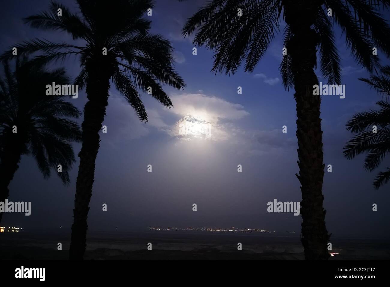 Silhouette di palme nel deserto contro cielo notturno con la luna e la città in balia. Foto Stock