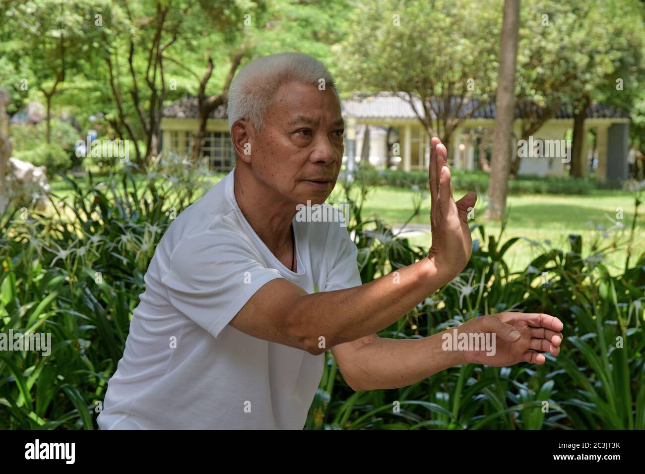 FOSHAN, CINA - CIRCA GIUGNO 2020: Un Grandmaster cinese Kung-fu mostra tecniche singole di Kung-fu stile drago. Foto Stock