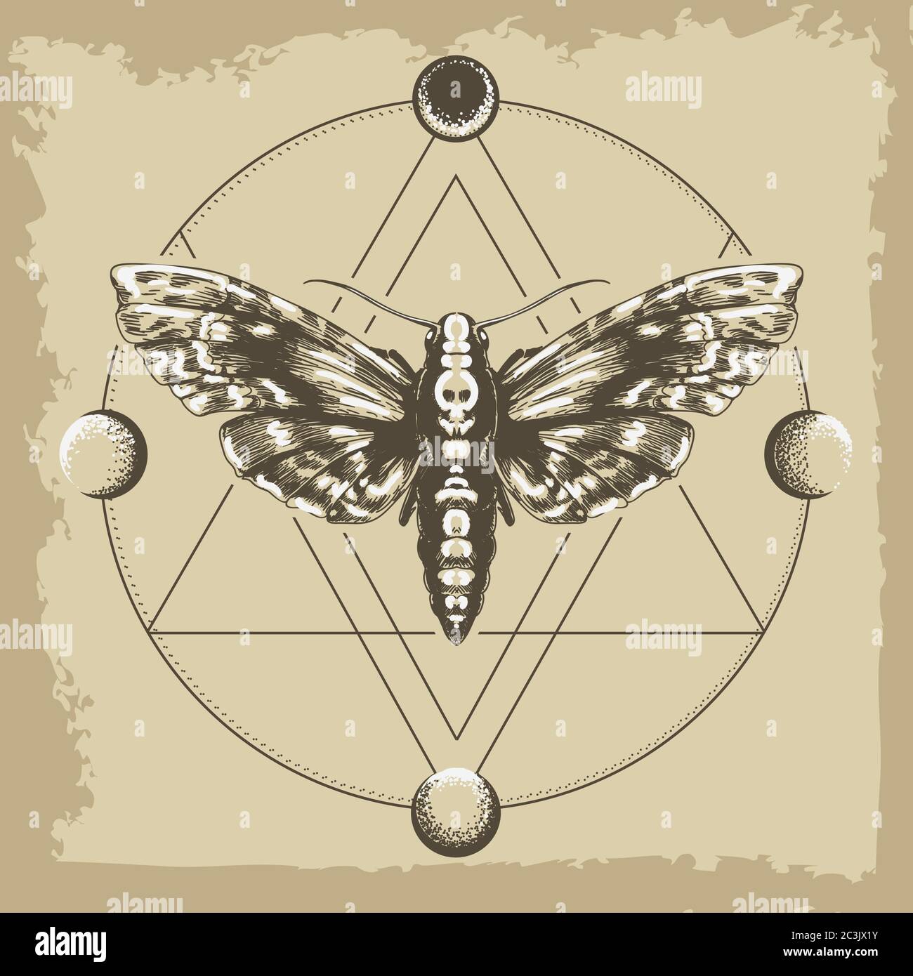 Moth Dead Head e cerchio di una fase della luna. Geometria sacra o simbolo di Alchimia, magia, esoterico, occulto. Illustrazione vettoriale Illustrazione Vettoriale