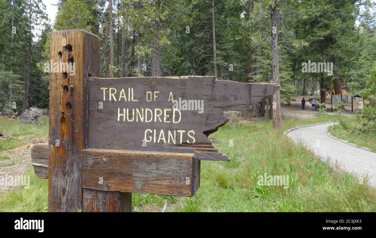 Cartello all'ingresso del Trail of 100 Giants nella Sequoia National Forest Foto Stock