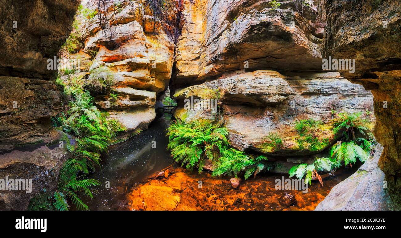 Chiuso isolato buco d'acqua profondo in arenaria grotta eroso da acqua corrente di Grand Canyon, Blue Mountains, Australia. Foto Stock