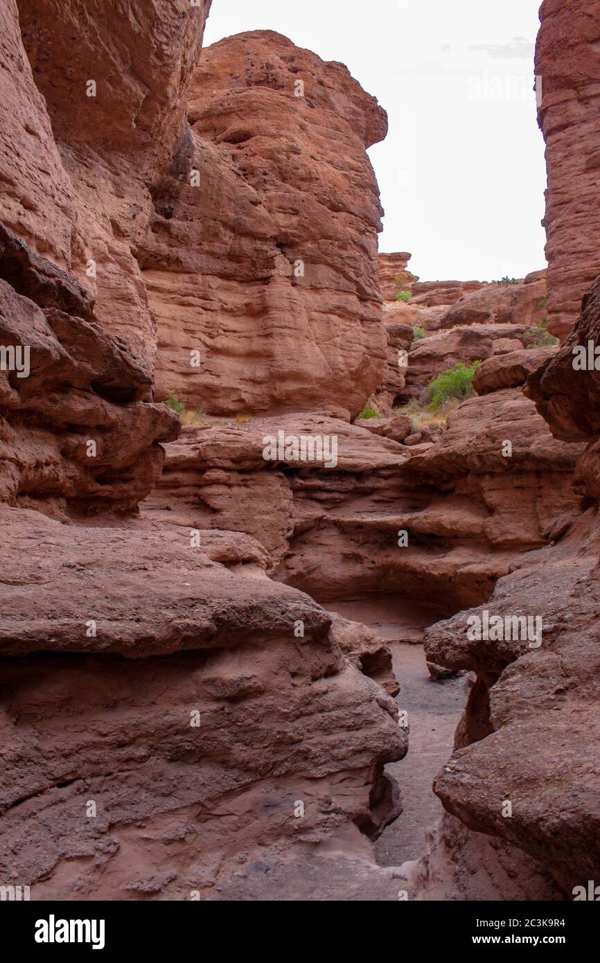 Il sentiero del deserto conduce attraverso uno stretto canyon a fessura nel Canyon di San Lorenzo nel deserto del Chihuahuan, fuori da Socorro, New Mexico, USA Foto Stock