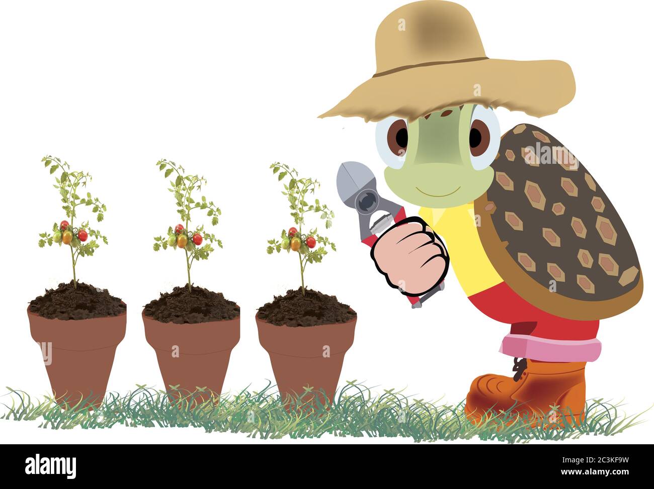 Illustrazione di un giardiniere di tartaruga e pentole con alberi di pomodoro Foto Stock