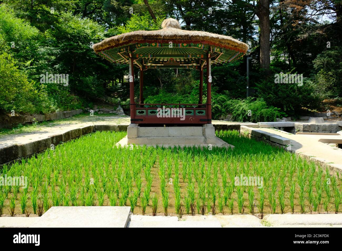 Seoul Corea del Sud - Padiglione del Palazzo Gyeongbokgung in giardino Foto Stock