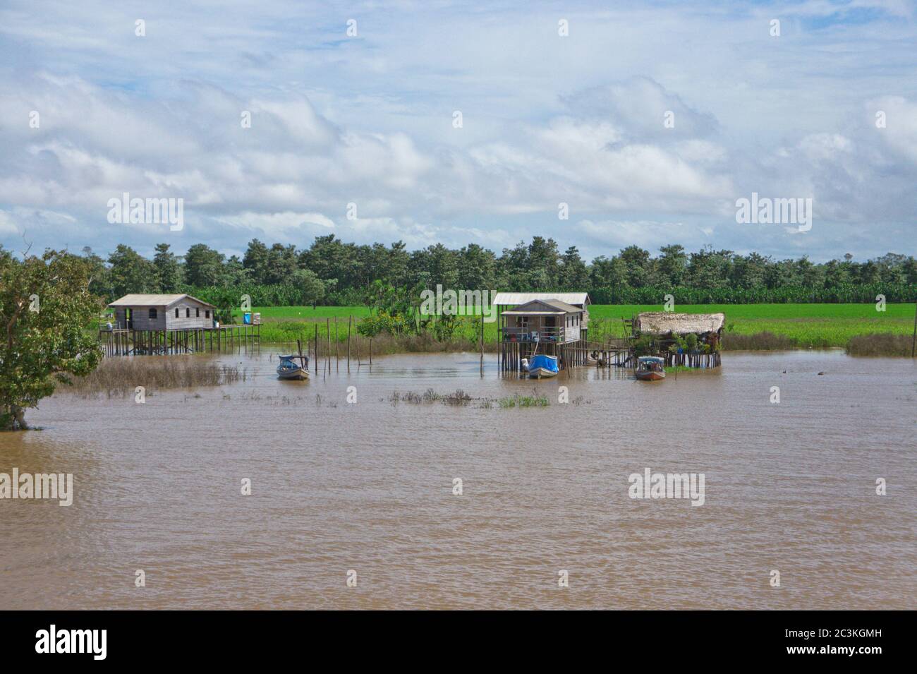 Vista sul fiume Amazon da un battello fluviale, Amazon Basin, Brasile Foto Stock