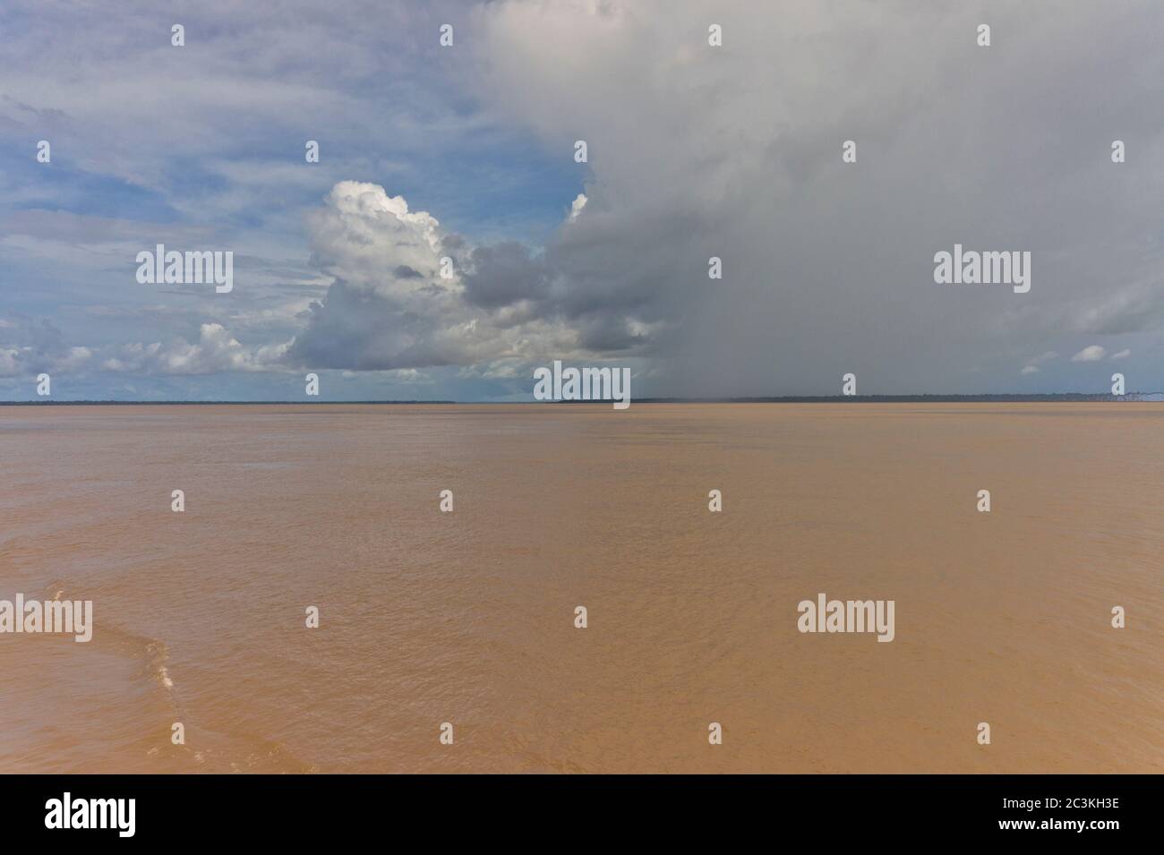 Vista sul fiume Amazon da un battello fluviale, Amazon Basin, Brasile Foto Stock