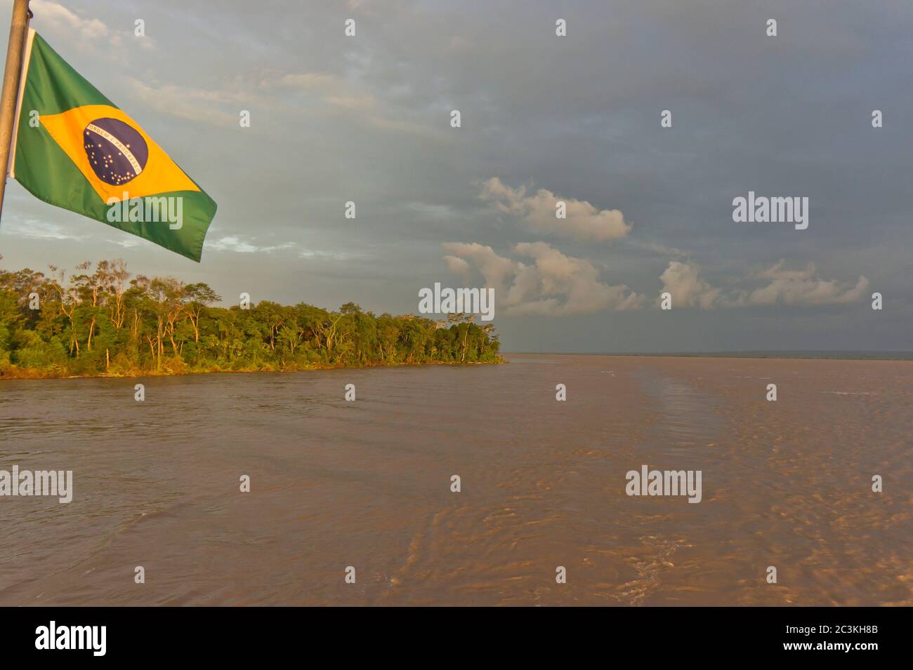 Vista sul fiume Amazon da un battello fluviale, Amazon Basin, Brasile Foto Stock