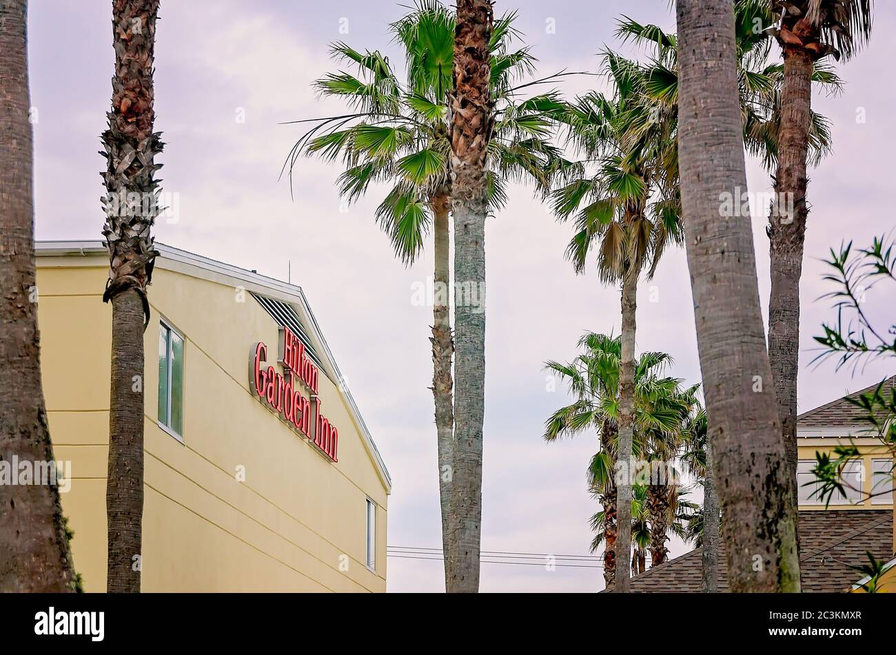 L'Hilton Garden Inn, situato sull'autostrada A1A, e' raffigurato con palme, il 19 Marzo 2016, a St. Augustine, Florida. Foto Stock