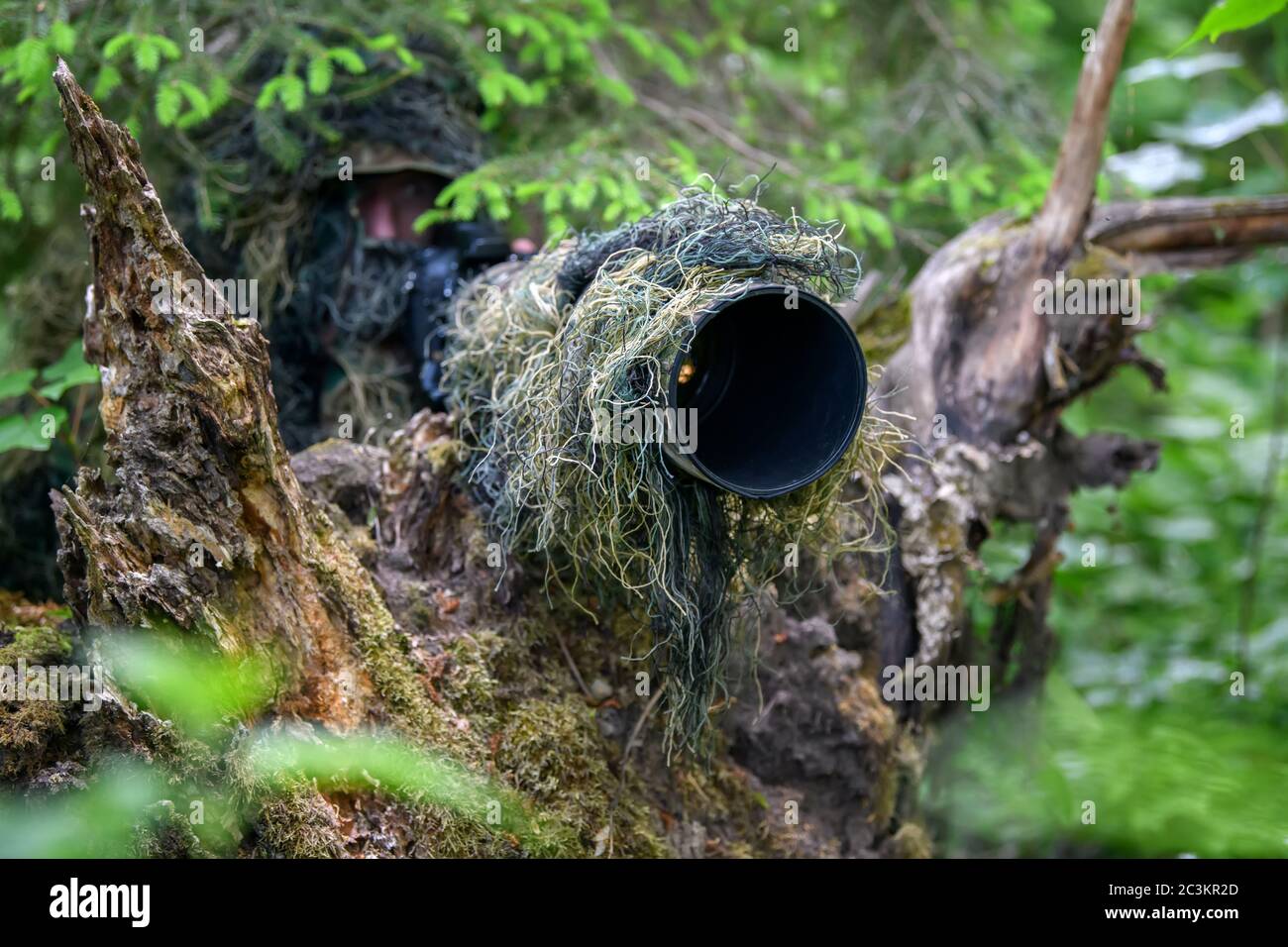 Fotografo di fauna selvatica in estate ghillie camouflage tuta che lavora in natura Foto Stock