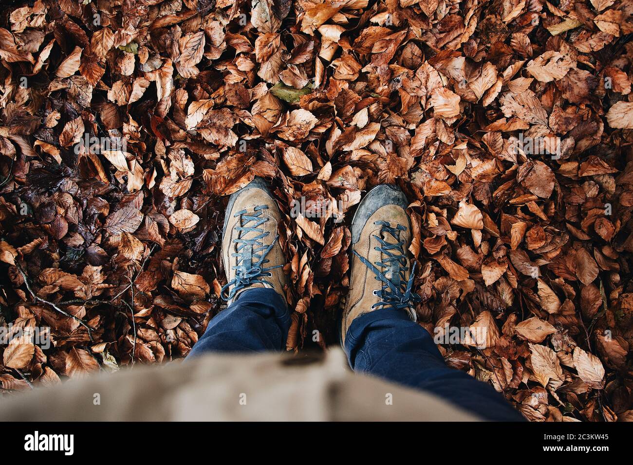 Persona in piedi sul terreno coperto di foglie cadute Foto Stock