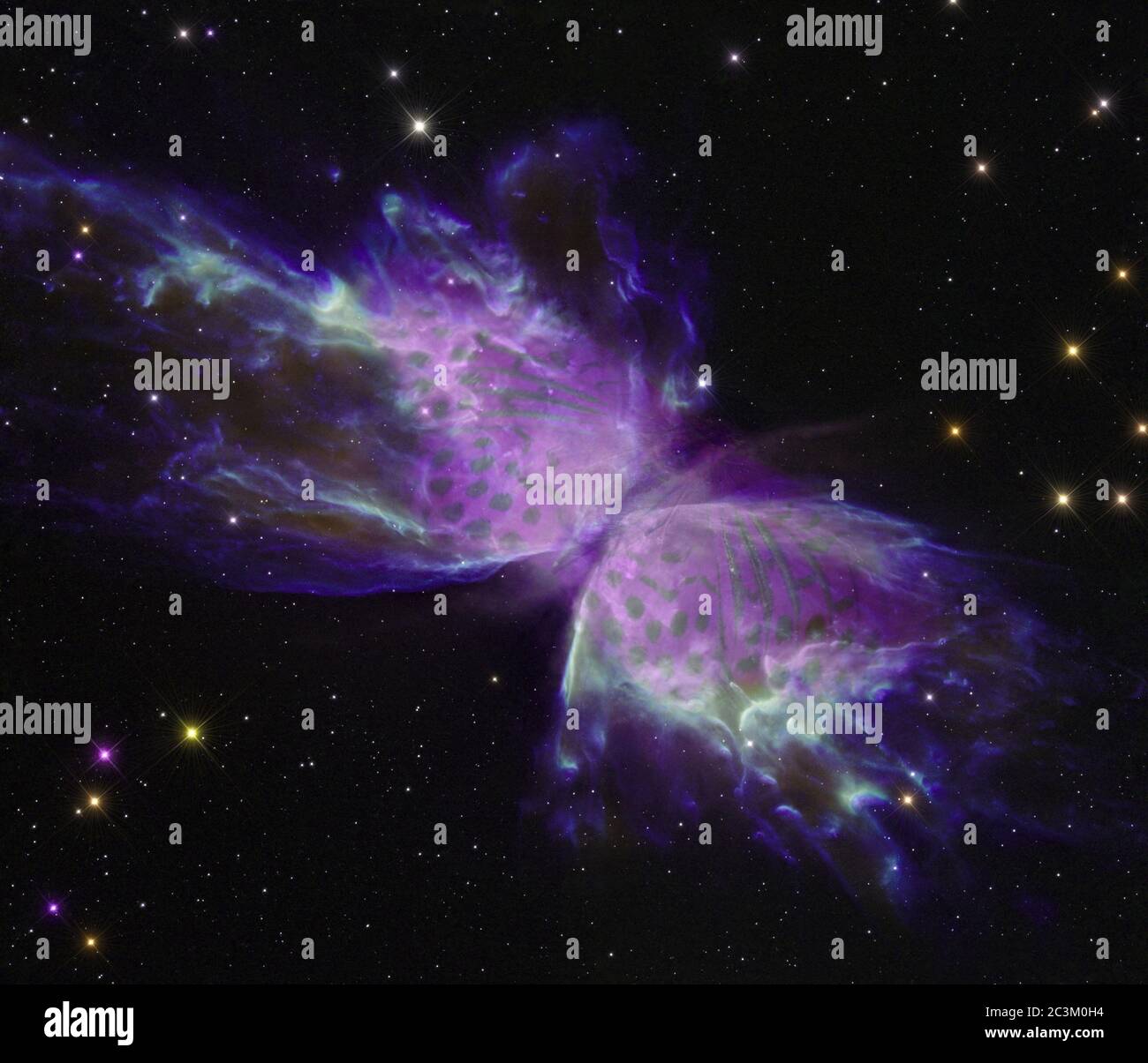 Nebulosa a farfalla con farfalla. Alcuni elementi immagine forniti dalla NASA Foto Stock