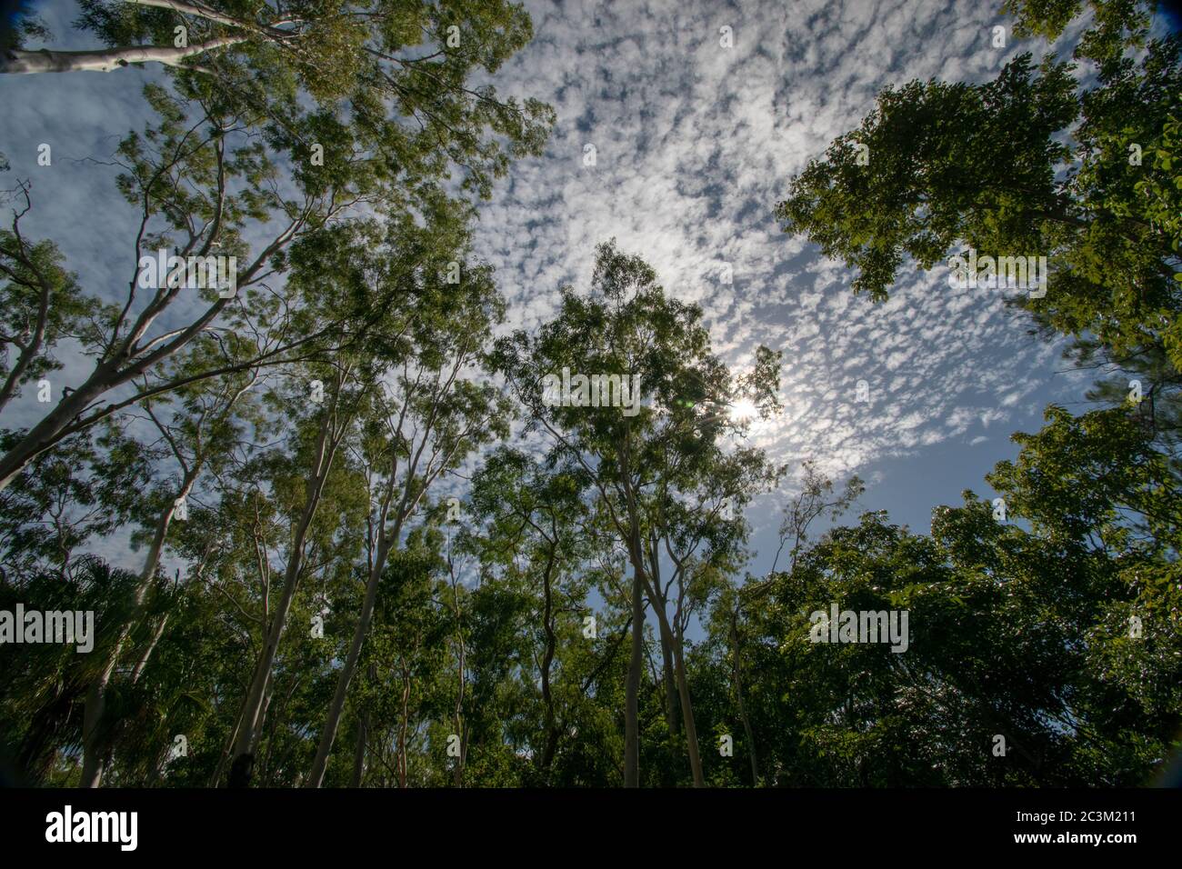 Townsville Foto Stock