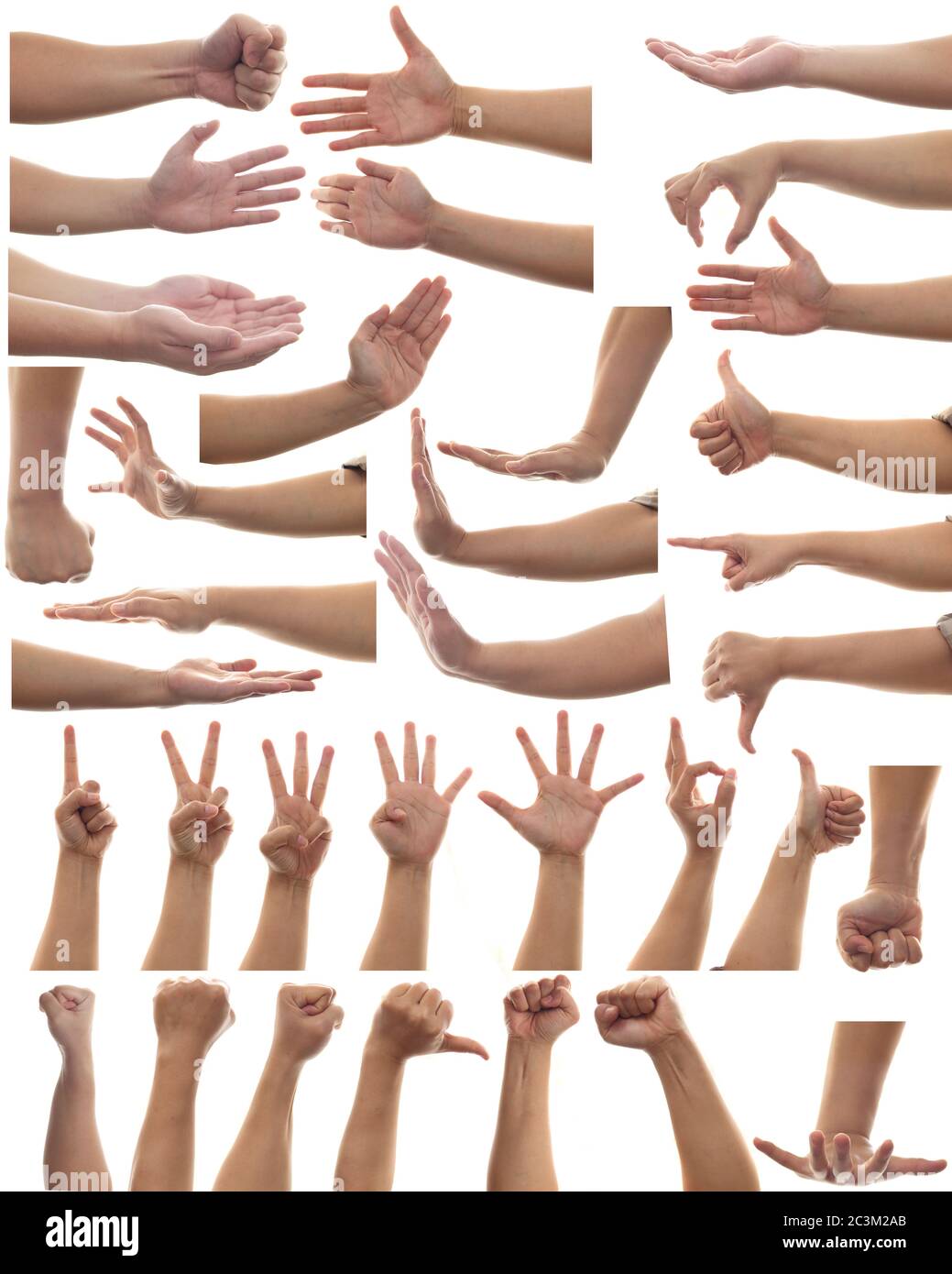 Set multiplo di gesti delle mani di una persona adulta isolato su sfondo bianco, elementi di progettazione delle parti del corpo umano Foto Stock