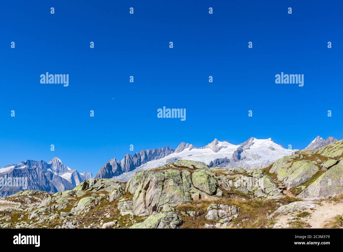 Vista panoramica sulle Alpi svizzere sopra il ghiacciaio dell'Aletsch, il Cantone di Berna e il Vallese, Svizzera Foto Stock