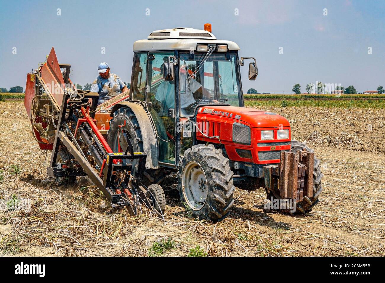 Italia Emilia Romagna - Ducentola di Voghiera (FE) - Azienda agricola aglio del Nonno - lavorazione e produzione di aglio DOP Voghiera Foto Stock