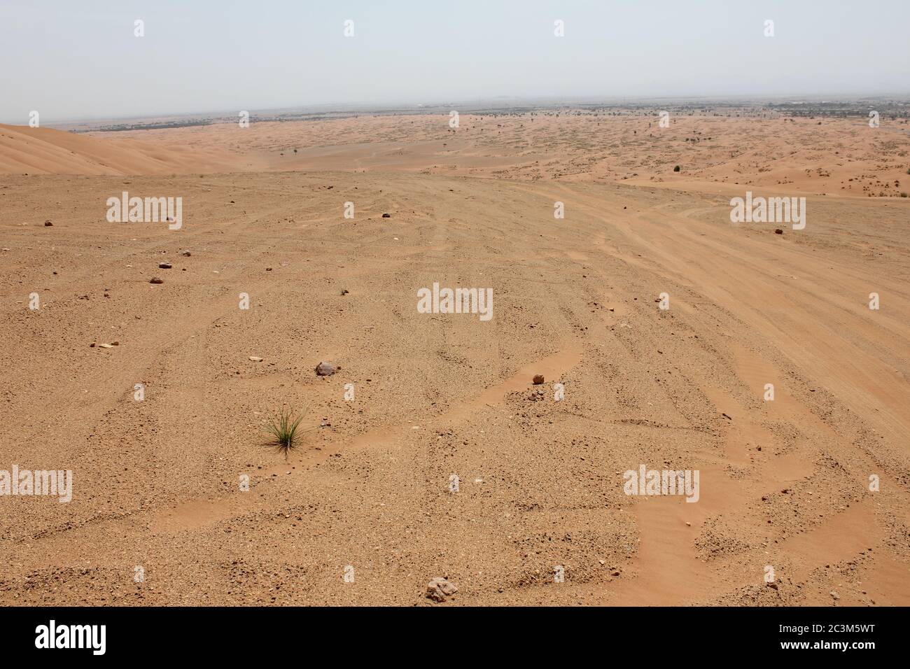 I cingoli degli pneumatici dei veicoli a trazione integrale (4WD) sono stampati sulle dune di sabbia del deserto arabo da fuoristrada, attività di attacco alle dune. Foto Stock