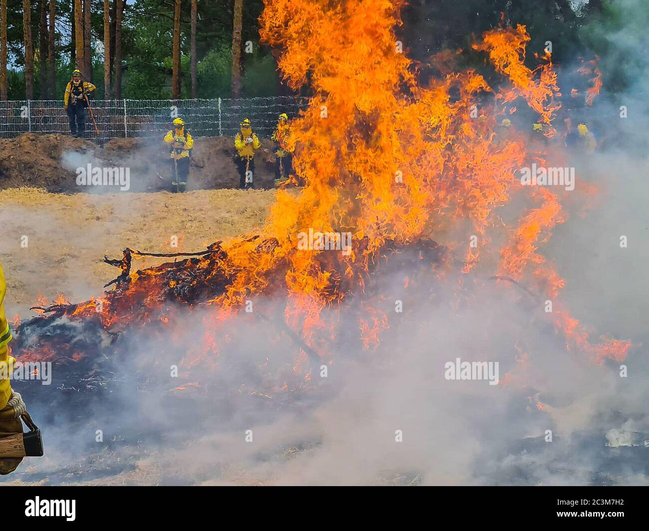 Kloster Lehnin, Germania. 20 Giugno 2020. Dopo la stagione degli incendi boschivi del 2019, i vigili del fuoco addestrano i moderni metodi di estinzione con esperti. Negli esercizi pratici, gli incendi vengono impostati per poter poi spegnerli in modo controllato. Vengono inoltre utilizzati nuovi tipi di agenti estinguenti. Credit: Julian Stähle/dpa-Zentralbild/dpa/Alamy Live News Foto Stock