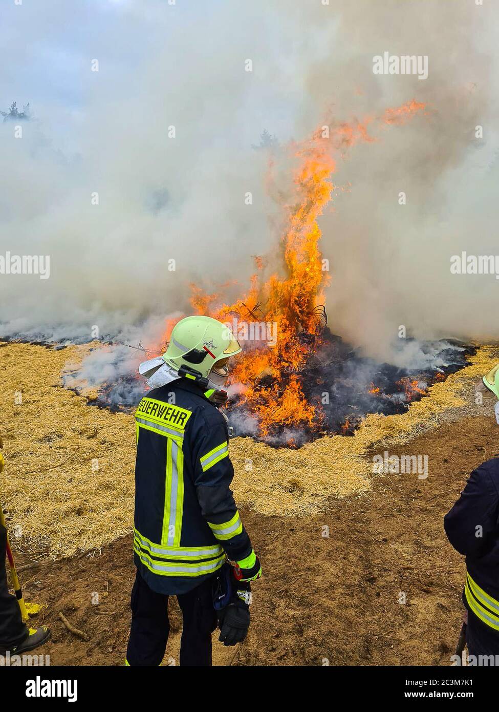 Kloster Lehnin, Germania. 20 Giugno 2020. Dopo la stagione degli incendi boschivi del 2019, i vigili del fuoco addestrano i moderni metodi di estinzione con esperti. Negli esercizi pratici, gli incendi vengono impostati per poter poi spegnerli in modo controllato. Vengono inoltre utilizzati nuovi tipi di agenti estinguenti. Credit: Julian Stähle/dpa-Zentralbild/dpa/Alamy Live News Foto Stock