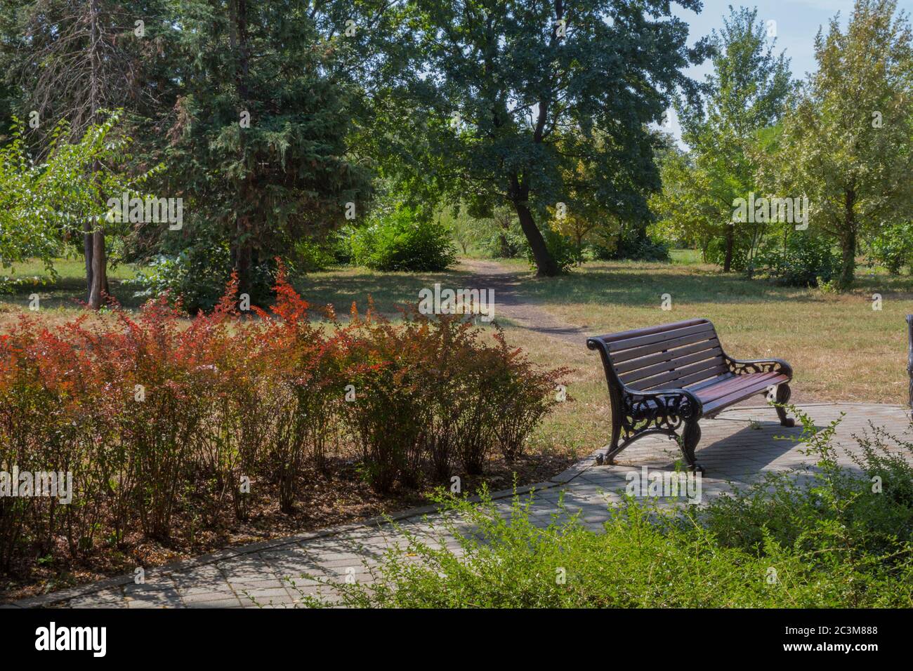 Panca vicino aiuola nel parco Foto Stock