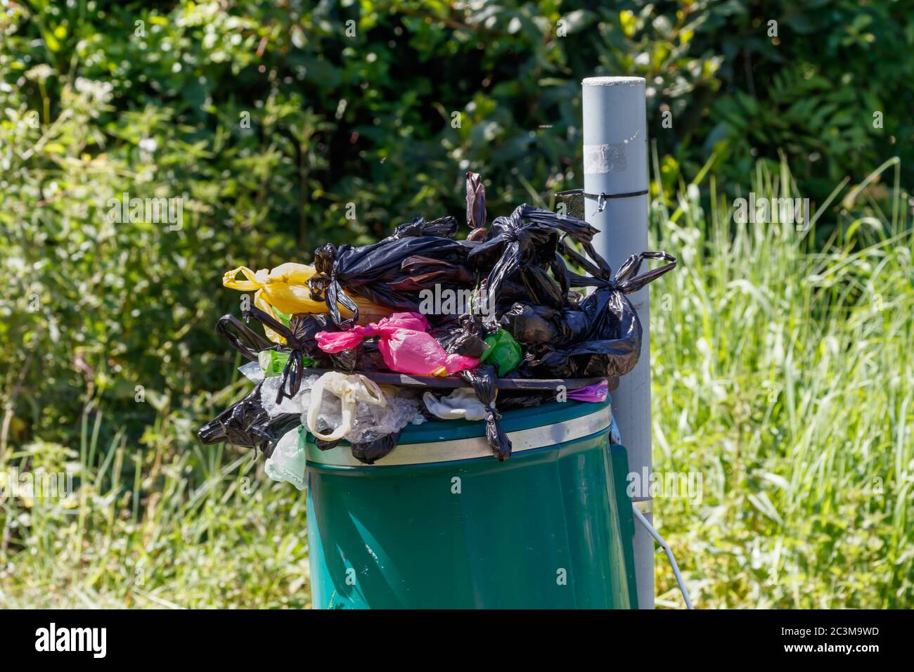 Sacchetti di rifiuti per cane Poo Foto Stock