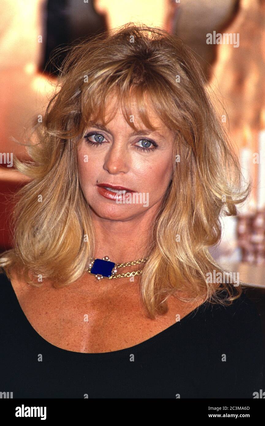 20 novembre 1992, Amburgo, attrice statunitense Goldie Hawn durante una fotocellula - promozione per il film 'Death is Good for Her' all'Hotel Atlantic Kempinski. | utilizzo in tutto il mondo Foto Stock