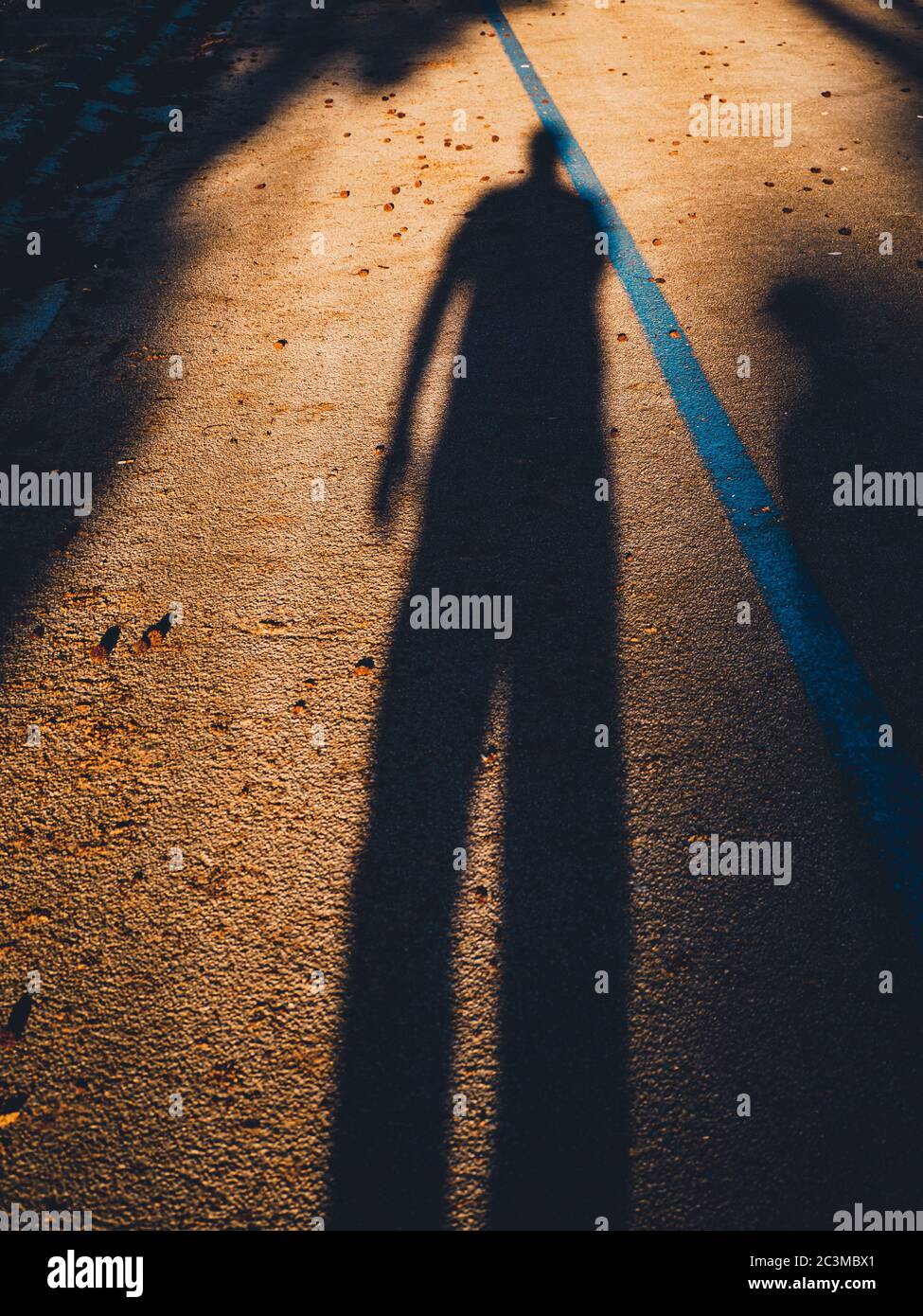 Silhouette verticale ad alto angolo di un'ombra di qualcuno camminare sotto il sole Foto Stock