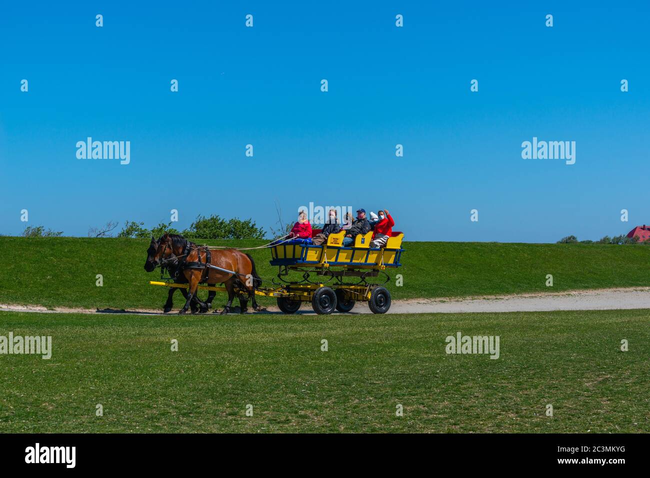 Le carrozze trainate da cavalli portano i turisti dalla terraferma all'isola del Mare del Nord di Neuwerk, allo Stato federale di Amburgo, alla Germania del Nord, al patrimonio mondiale dell'UNESCO, Foto Stock