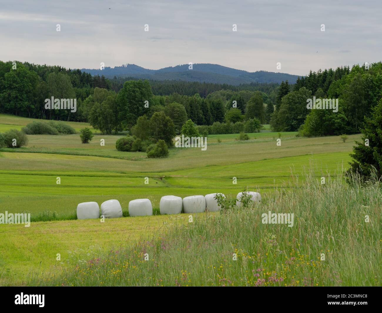 Area agricola in paesaggio collinare e foresta in una giornata di lavoro Foto Stock