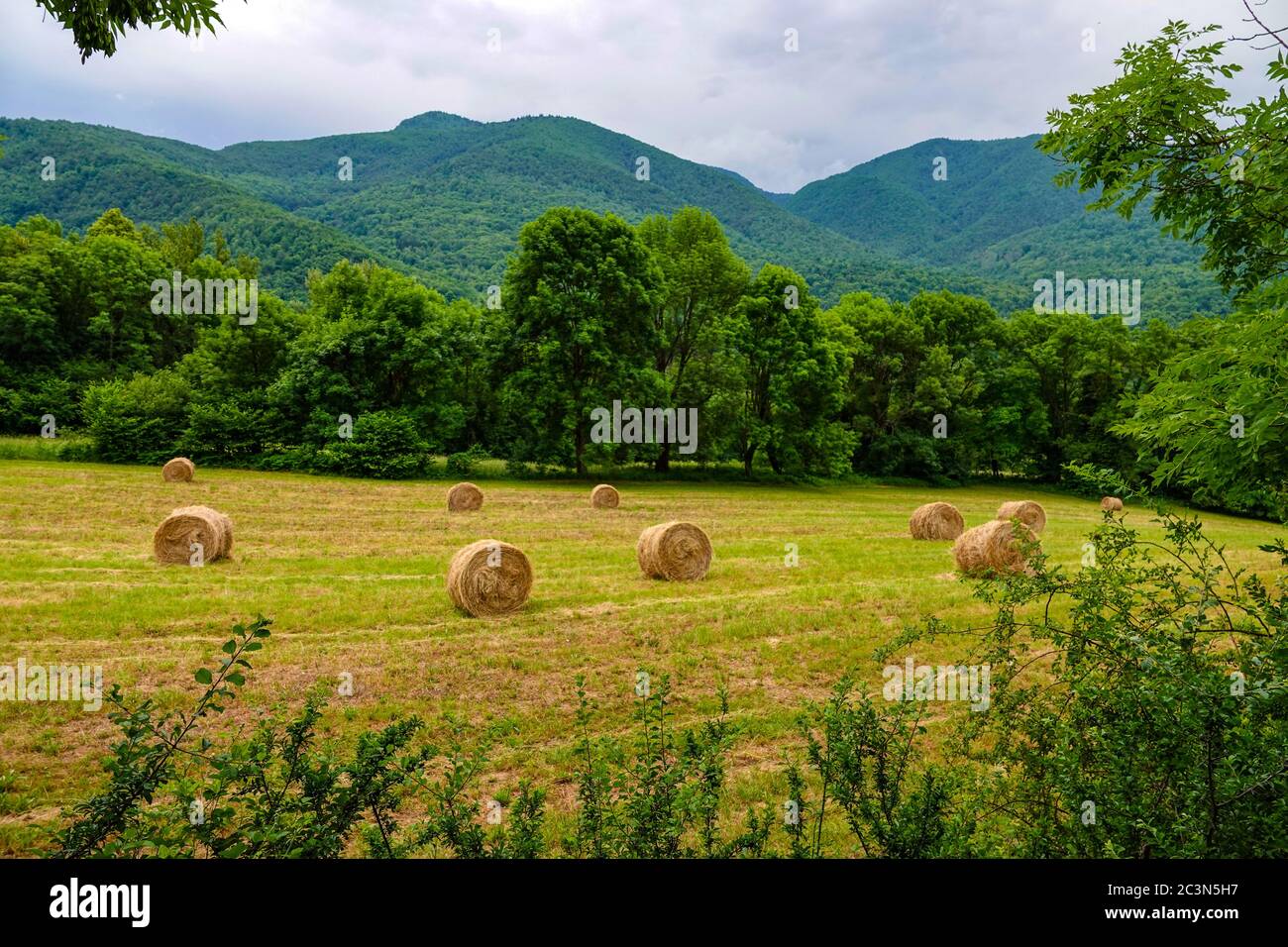 Balle rotonde di fieno, paglia, in campo in Aiege, Francia Foto Stock