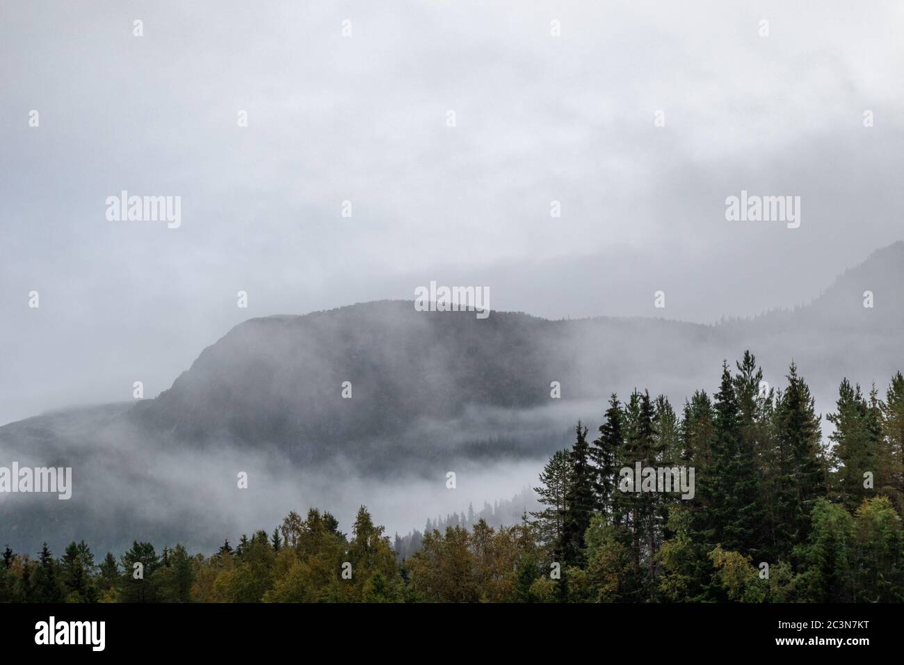 Nuvole sulla foresta in Norvegia montagna silhouette. Autunno viaggio natura selvaggia. Nebbie scandinavia alberi di pino nuvoloso Foto Stock