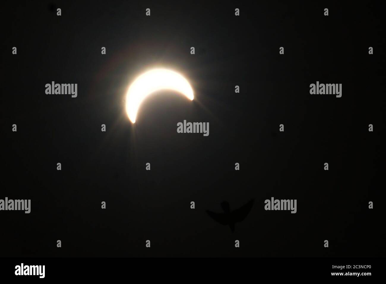 La luna copre parzialmente il sole durante un'eclissi solare anulare 'la gente sta vedendo questo drammatico 'anello di fuoco' nel cielo - la prima eclissi solare di 2020 dalle loro case con l'aiuto di una piastra di raggi X e con tutte le altre misure di sicurezza a Lahore il mese di giugno 21, 2020.quando la luna è in orbita tra la terra e il sole per un certo periodo, il sole diventa parzialmente o completamente invisibile a qualsiasi osservatore della terra (per un certo periodo di tempo). Questo evento è chiamato eclissi solare. Ciò accade quando la nuova luna si alza dopo la nuova luna. Ogni anno sulla Terra si osservano almeno due o cinque eclissi solari. Foto Stock