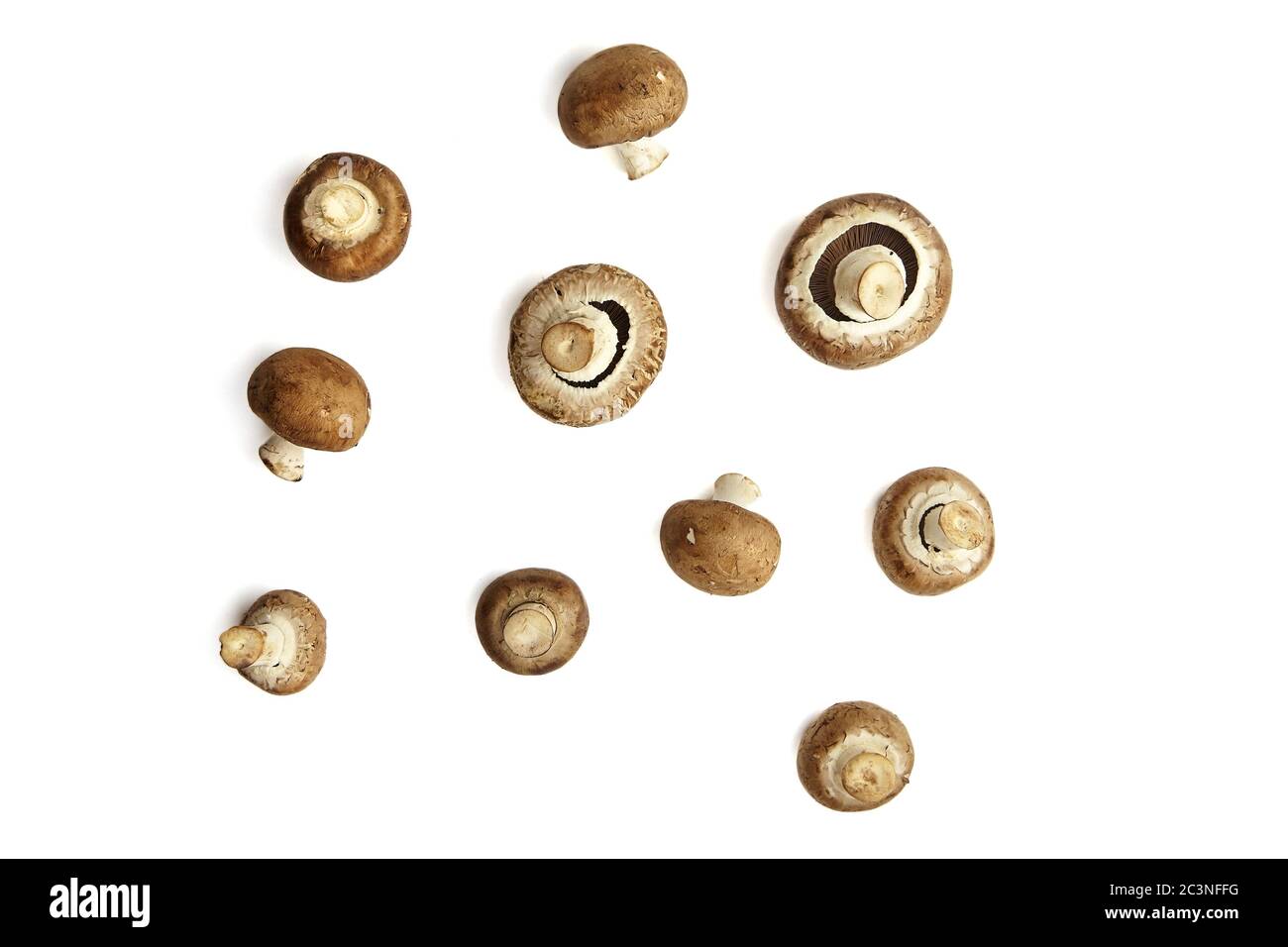 Funghi, champignons marroni freschi isolati su sfondo bianco, vista dall'alto. Molti ingredienti alimentari non cotti, piatto posare Foto Stock