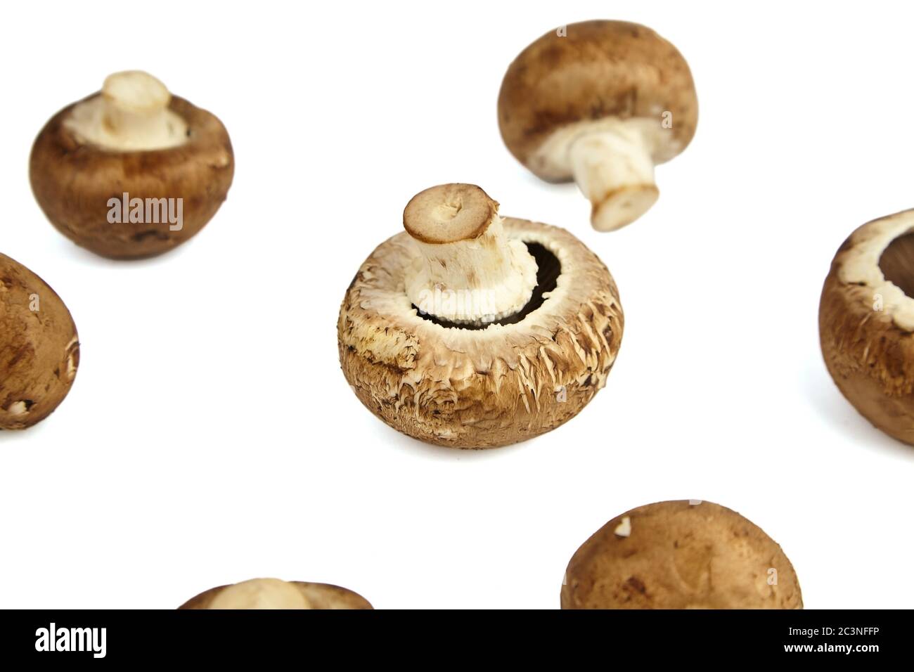 Funghi, champignons marroni freschi isolati su sfondo bianco, fuoco selettivo. Ingrediente alimentare crudo Foto Stock