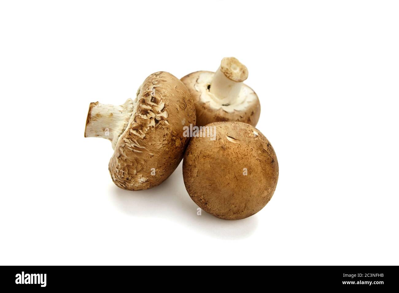 Funghi, tre champignons marroni freschi isolati su sfondo bianco, fuoco selettivo. Ingrediente alimentare crudo Foto Stock