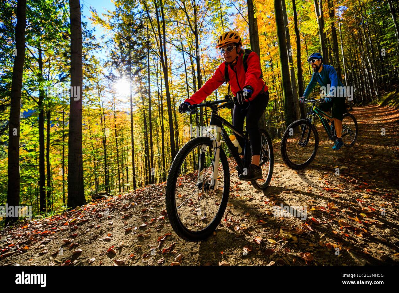 Donna in bicicletta sulla pista ciclabile nella foresta d'autunno. Mountain bike nella foresta di paesaggio autunno. Donna in bicicletta MTB salita sentiero. Foto Stock