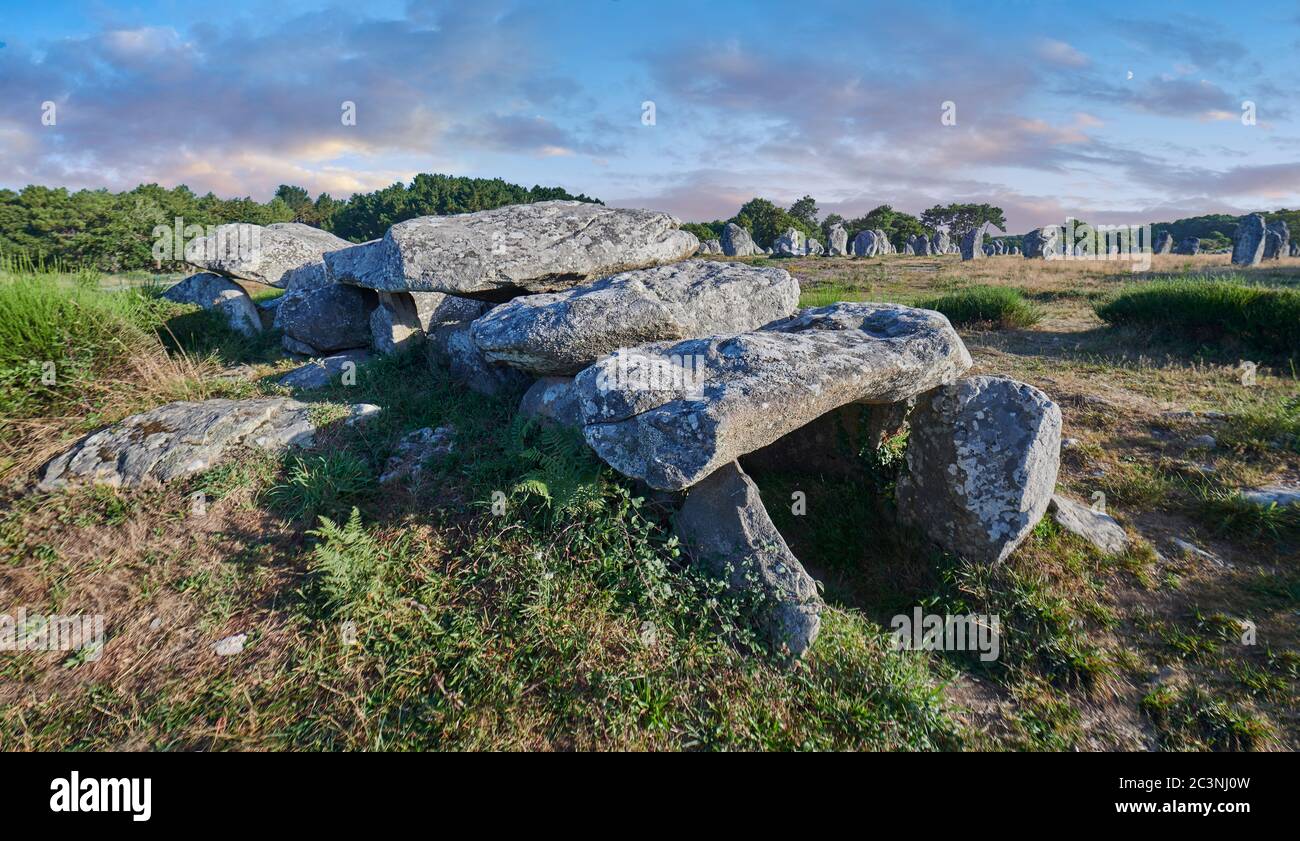 Vista di Carnac pietre neolitiche in piedi Monalithic portale tomba camera, Alignements du Kermario, 500 a 2000 AC, Carnac è Foto Stock
