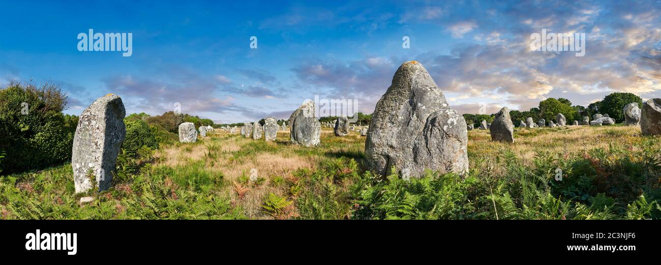 Vista dei monaliti in pietra neolitica di Carnac, un sito pre-celtico di pietre in piedi utilizzati dal 4500 al 2000 AC, Carnac è famoso come il sito di mo Foto Stock