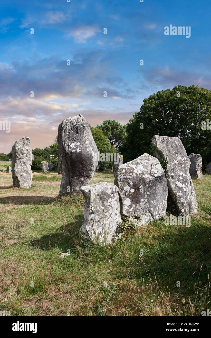 Vista dei monaliti in pietra neolitica di Carnac, un sito pre-celtico di pietre in piedi utilizzati dal 4500 al 2000 AC, Carnac è famoso come il sito di mo Foto Stock