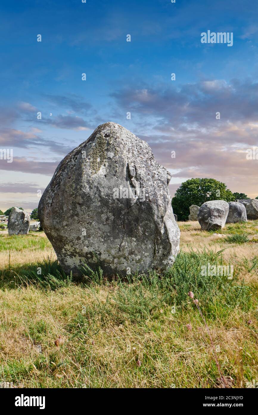 Vista dei monaliti in pietra neoltica Carnac, un sito pre-celtico di stomi in piedi utilizzato dal 4500 al 2000 a.C., Carnac è famoso come il sito di Mo Foto Stock