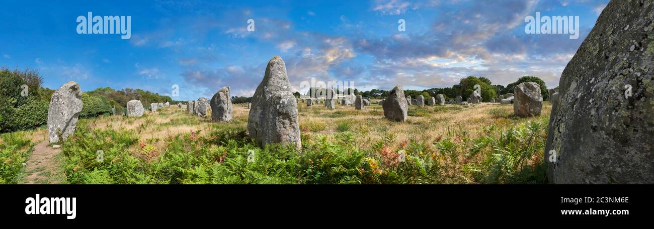 Vista dei monaliti in pietra neolitica di Carnac, un sito pre-celtico di pietre in piedi utilizzati dal 4500 al 2000 AC, Carnac è famoso come il sito di mo Foto Stock