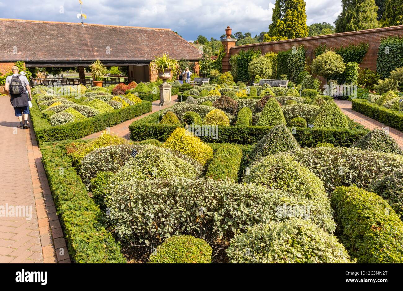 Il giardino del nodo con i cespugli di topiary tagliati puliti nei giardini murati a Wisley di RHS Garden, Surrey, Inghilterra sudorientale, in estate Foto Stock