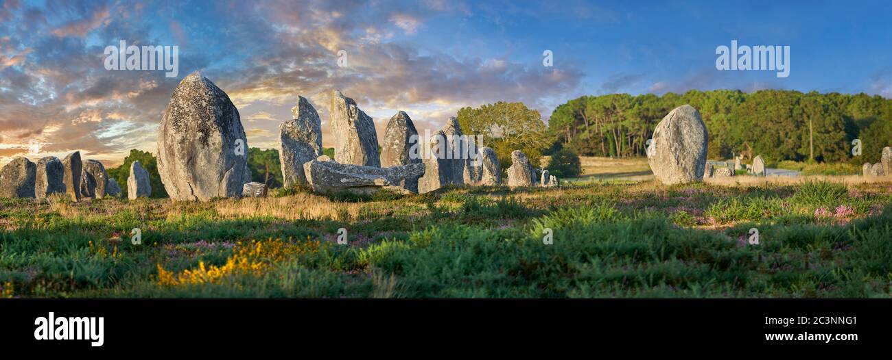 Vista dei monaliti in pietra neolitica di Carnac, Alignements du Kermario, un sito pre-celtico di pietre in piedi, dal 4500 al 2000 AC, Foto Stock