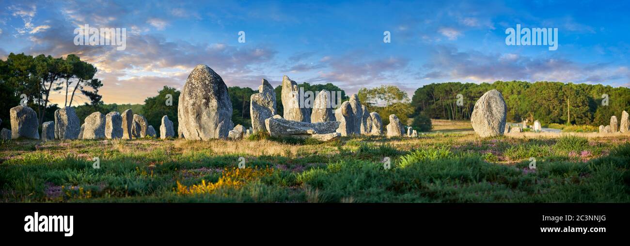 Vista dei monaliti in pietra neolitica di Carnac, Alignements du Kermario, un sito pre-celtico di pietre in piedi, dal 4500 al 2000 AC, Foto Stock