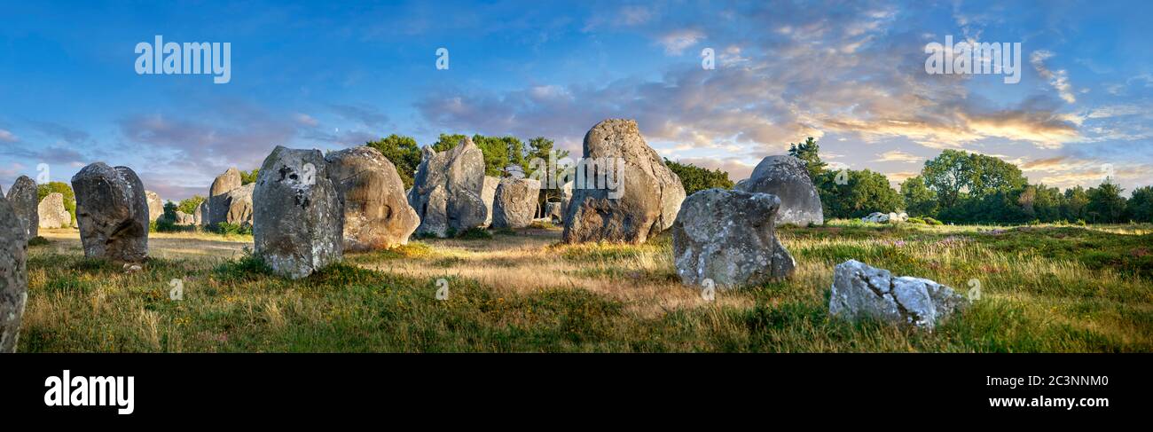 Vista dei monaliti in pietra neolitica di Carnac, Alignements du Kermario, un sito pre-celtico di pietre in piedi, dal 4500 al 2000 AC, Foto Stock