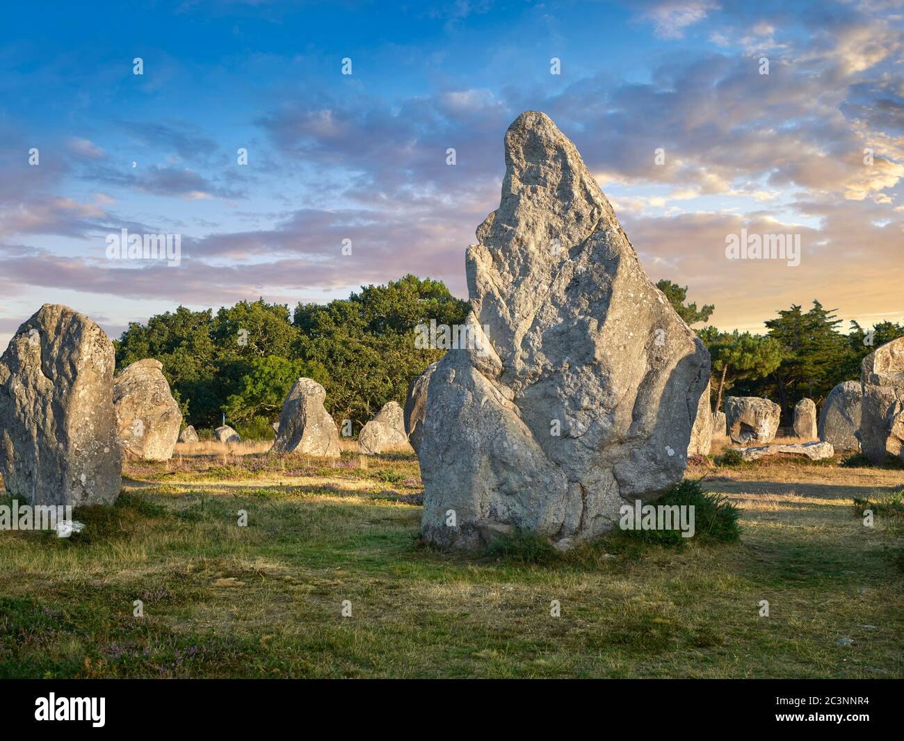 Vista dei monaliti di pietra di Carnac in piedi neolitici, Alignements du Kermario, un sito pre-celtico di pietre in piedi utilizzati dal 4500 al 2000 AC, Carnac è Foto Stock